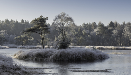 Winter sneeuw en ijs bij Goirle