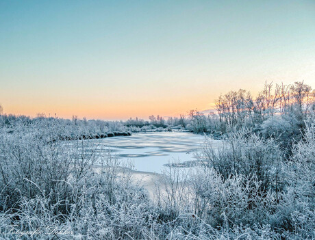 Natuurgebied Bargerveen in winterse sferen '22