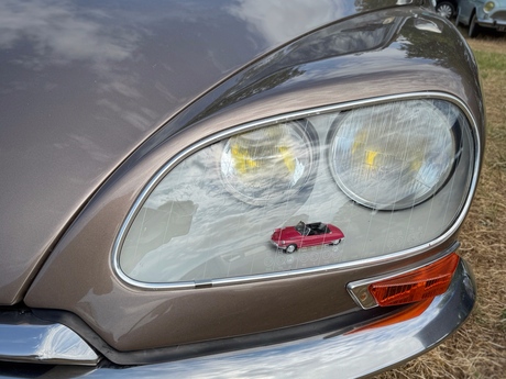 Van speelgoeddromen naar tijdloze klassiekers