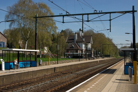 Wachtend in alle rust , in de voorjaars zon.