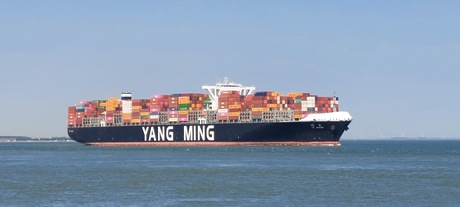 Das geen klein ding, die yang ming