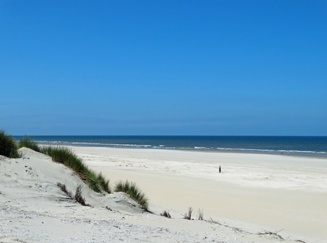 wandelend langs de kust