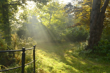HERFST