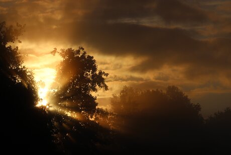Bon matin!