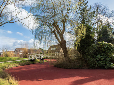 Het rode eendenkroos.