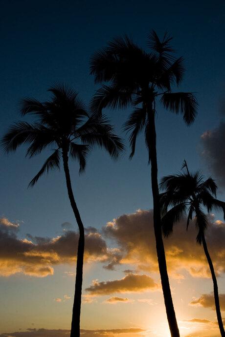 Hawai by sunset