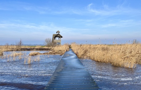 Uitkijktoren Zuidlaardermeer 