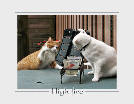 High five ...........