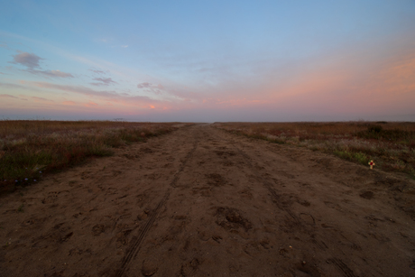 De weg door de heide