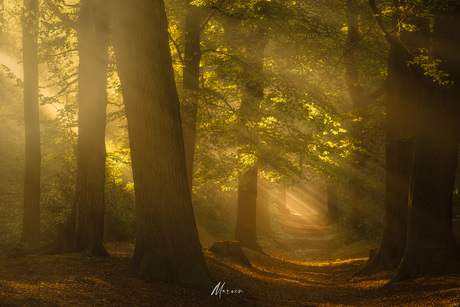 Prachtig begin van de herfst