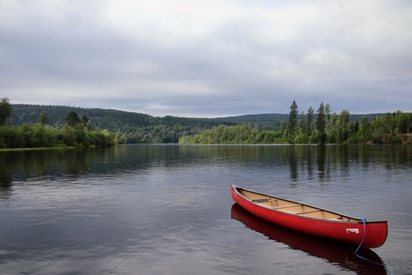 De stilte in Zweden.