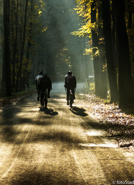 gouden fietstochtje