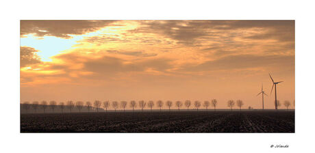 Sunset in de polder