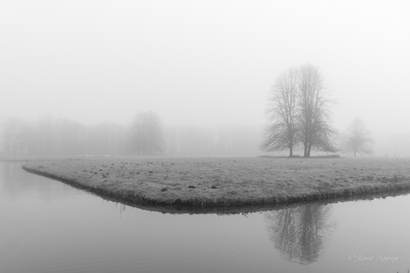 Mist