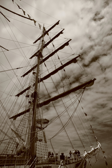 Sail 2013 - Den Helder
