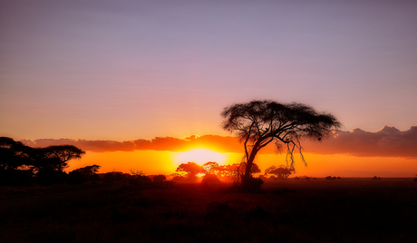 Sunset@Amboseli