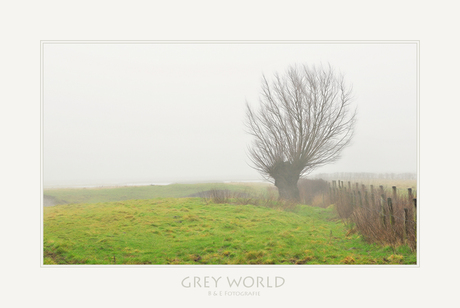Grey World...