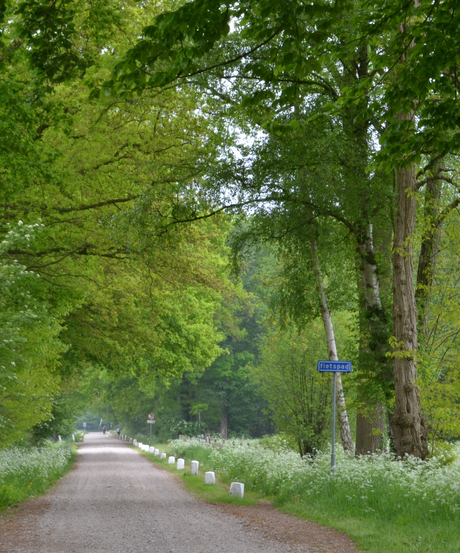 Typisch Twentse landweggetjes