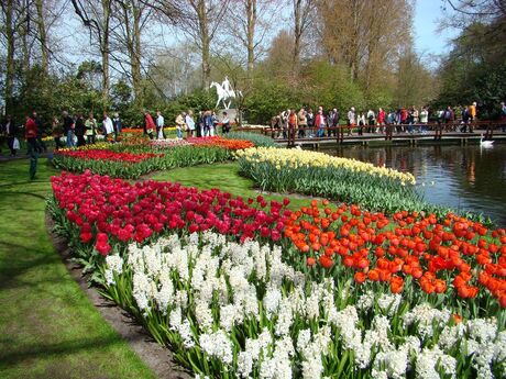 keukenhof3.jpg