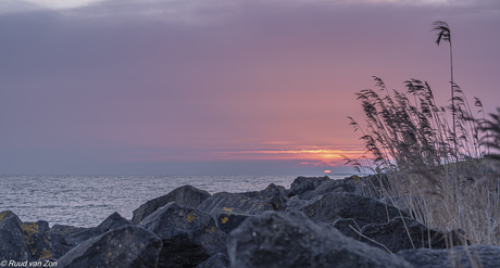Zonsondergang aan de Oostvaardersdijk