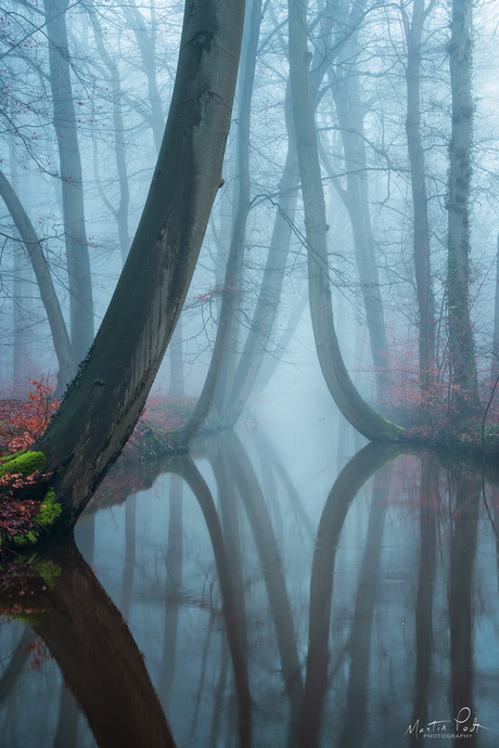 The bent ones in thick fog II