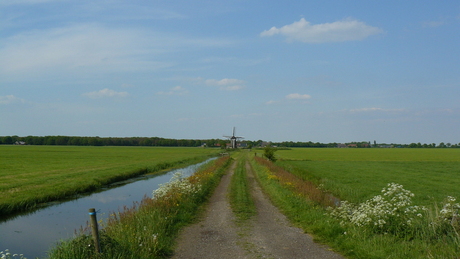 Molen