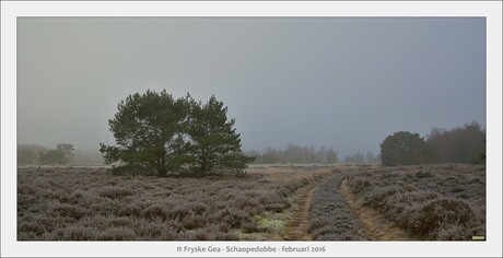 Schaopedobbe - Elsoo - Friesland