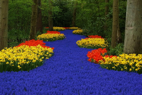 Flower Path