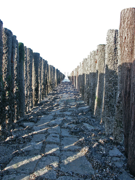 golfbreker cadzand