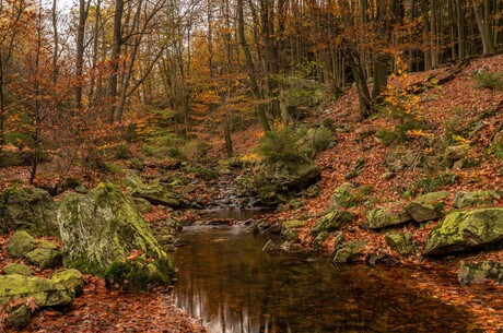 Wandeling Solwaster ( Ardennen )