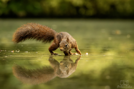 Het plan was om gewoon even wat drinken.