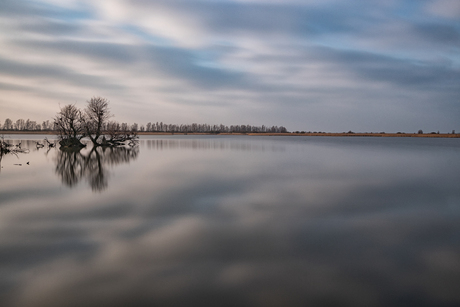 Oostvaardersplassen