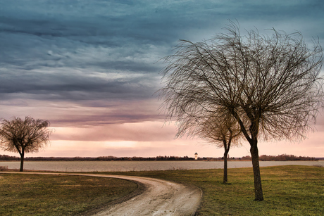 Landschap met bomen
