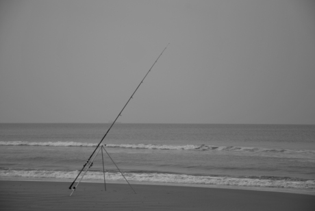 Strand Egmond