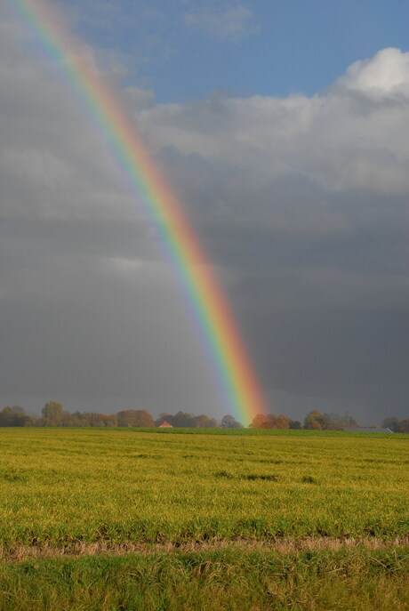 Regenboog (geen Photoshop)