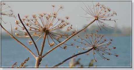 Herfst