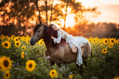 Sunflower love