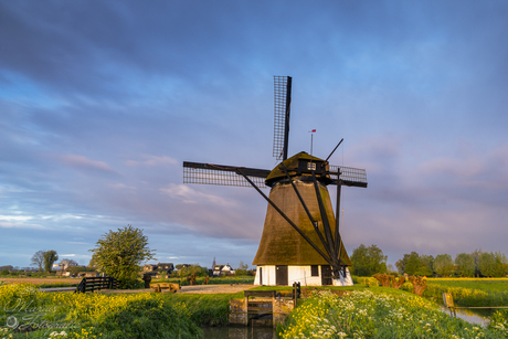 Oude Doornse Molen