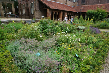 kloostertuin Mariaplaats Utrecht