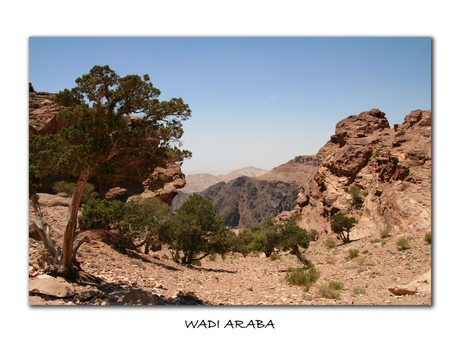 Wadi Araba