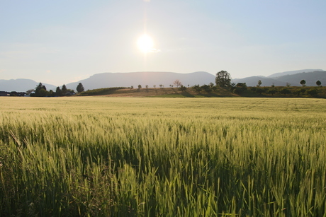 Landlich in Zwitserland