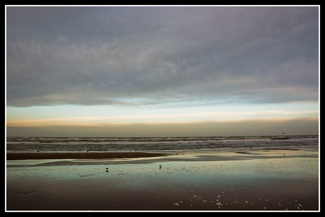 ochtend strandwandeling