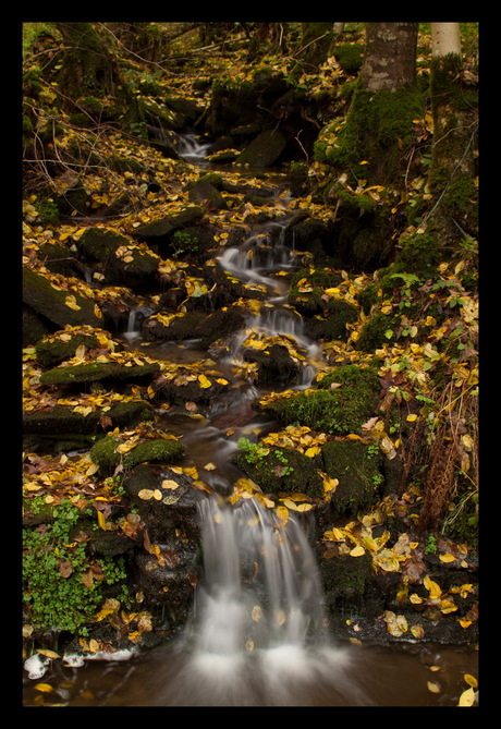 Herfstbeekje