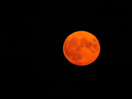 Oranje maan