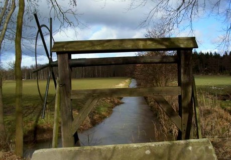 Sluisje in het bos