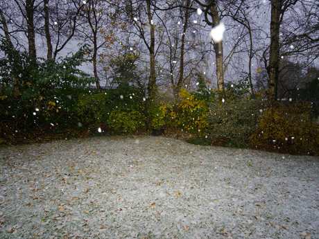 Het sneeuwt