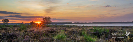 Zonsopkomst.