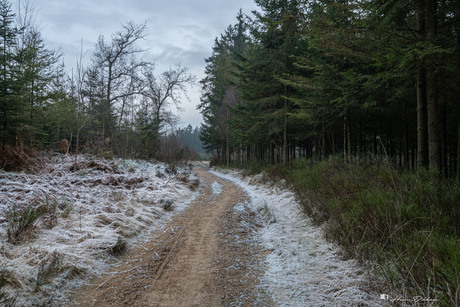 Ardennen belgie