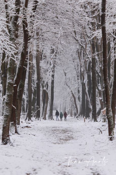 Lente sneeuw