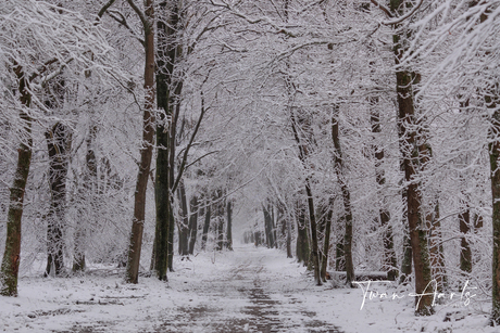 Lente sneeuw